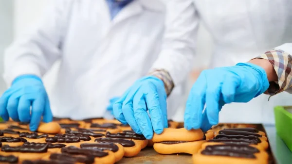 Food Handling Gloves