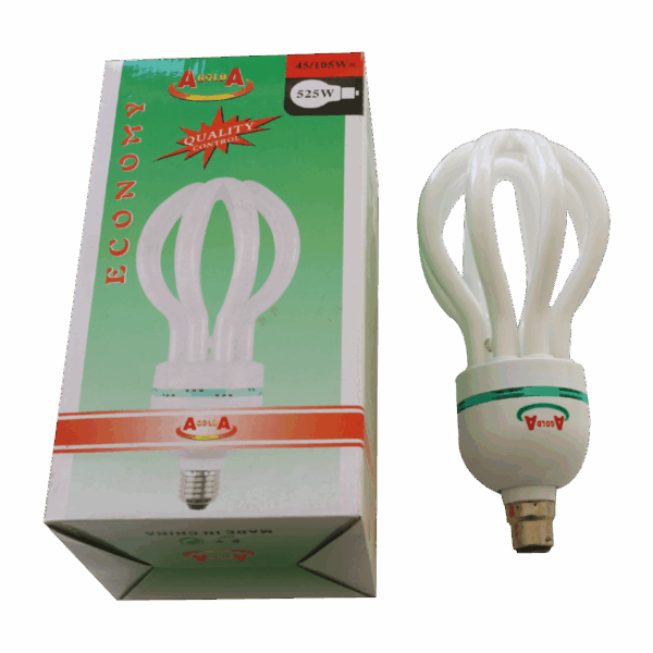 Energy saver bulb 105W